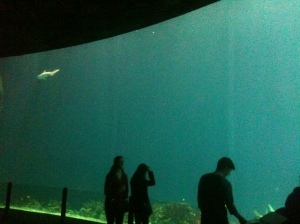 I was highly impressed by the ocean section, even if it did bring flashbacks from the cinematic masterpiece, "Jaws 3".